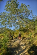 Y3752838