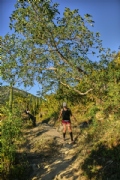 Y3752849