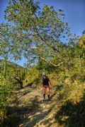 Y3752967