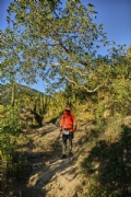Y3753102