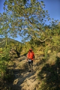 Y3753142