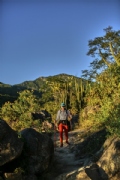Y3753166