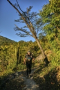 Y3753213