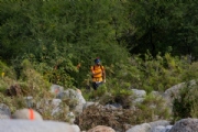 C3746496