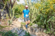 P3739784