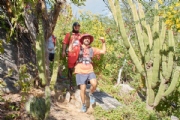 T3739804