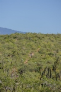 R3757598