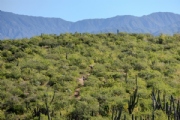 V3757469