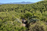 V3758806