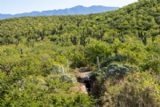 Y3757412