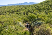 Y3757427