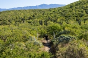 Y3757437