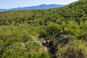 Y3757582