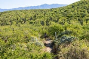 Y3757661
