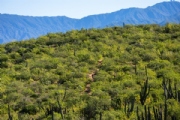 Y3757891