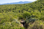 Y3758150