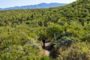 Y3758224