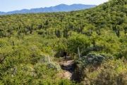 Y3758315