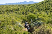 Y3758392