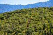 Y3758691