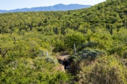 Y3758724