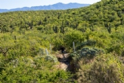 Y3758760