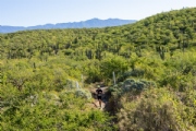Z3757633
