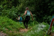C3768955