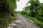 E3769279