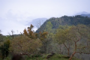 A3771565