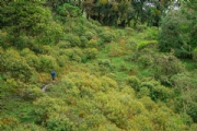 H3771682