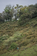 O3771883