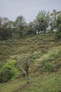 O3771896