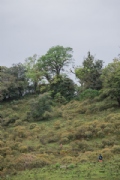 O3772079
