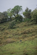 O3772092