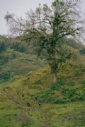 S3771345