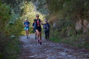 Z3789396