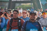 W3786386