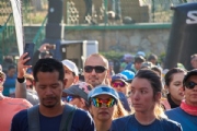 W3787229