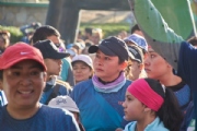 X3786401