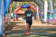 Y3786579