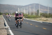 Q3799115