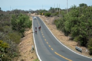 V3798231