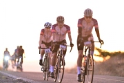 C3804544