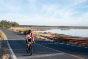 D3801248
