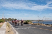L3799934