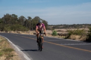 O3799963