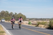 Q3800310