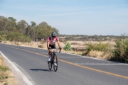 Q3800663