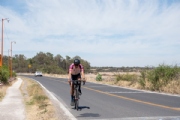 W3801512